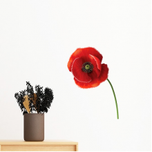 corn  red flower art painting  removable wall sticker art decals mural diy wallpaper for room decal