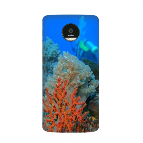 ocean fish diving people  science nature picture motorola moto z / z force / z2 force droid magnetic mods phcase style mod 