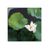 fresh lotus   picture nature cerac tile glossy decal ged brick adorn st