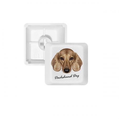 Brown Short-leg Dachshund Dog Animal Keycap Mechanical Keyboard PBT Gang Upgrade Kit Brown Short-leg Dachshund Dog Animal Keycap Mechanical Keyboard PBT Gang Upgrade Kit