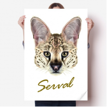 长耳花斑野生山猫动物 海报贴纸80x55cm墙贴纸卧室家居装饰