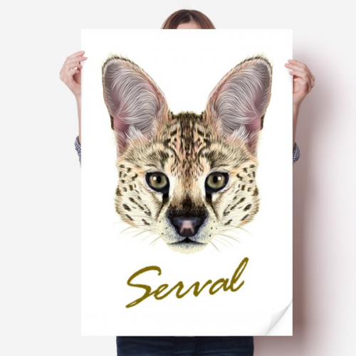 长耳花斑野生山猫动物 海报贴纸80x55cm墙贴纸卧室家居装饰