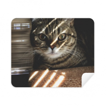 动物猫咪光线摄影照片图 鹿皮绒眼镜布屏幕清洁布手机屏擦2片