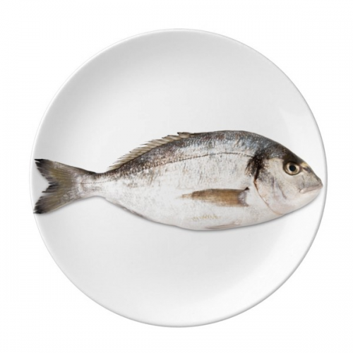 Ocean Fish Activity Food Red Dessert Plate Decorative Porcelain 8 inch Dinner Home