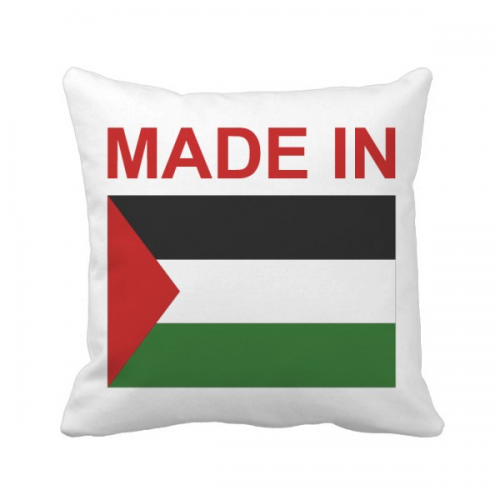 巴勒斯坦国旗国家制造 方形抱枕靠枕沙发靠垫双面含芯礼物 巴勒斯坦国旗国家制造 方形抱枕靠枕沙发靠垫双面含芯礼物