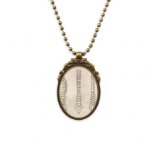 skeleton sketch spine human antique necklvintage bead pendant keychain skeleton sketch spine human antique necklvintage bead pendant keychain