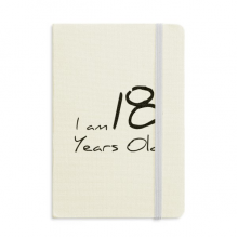 我18岁了年龄年轻 硬质笔记本办公记事本子学生用