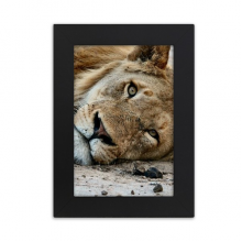 m  Animal Lion Desktop Photo Frame Picture Display Art Painting Exhibit