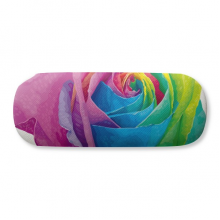 跨性别者彩虹旗花图案 硬质眼镜盒趣味折叠收纳盒礼物