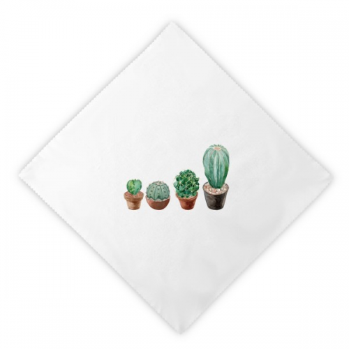 Succulents Cactus Potted  Illustration Dinner Napkins Lunch White Reusable Cloth 2pcs