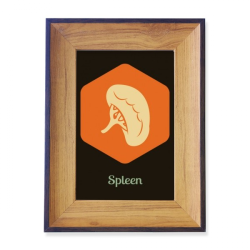 Body Internal  Spleen Photo Frame Exhibition Display Art Desktop Painting