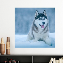dog animal snow hupicture vinyl wall decoration sticker poster wallpaper decal self adhesive