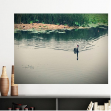  Ducks Lake Photography Vinyl Wall Decoration Sticker Poster Wallpaper Decal Self Adhesive