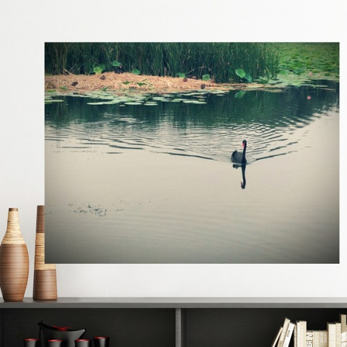  Ducks Lake Photography Vinyl Wall Decoration Sticker Poster Wallpaper Decal Self Adhesive