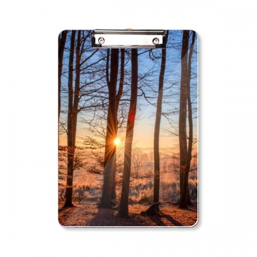 光线黑暗森林自然景色 平头文件夹书写垫板考试A4 光线黑暗森林自然景色 平头文件夹书写垫板考试A4