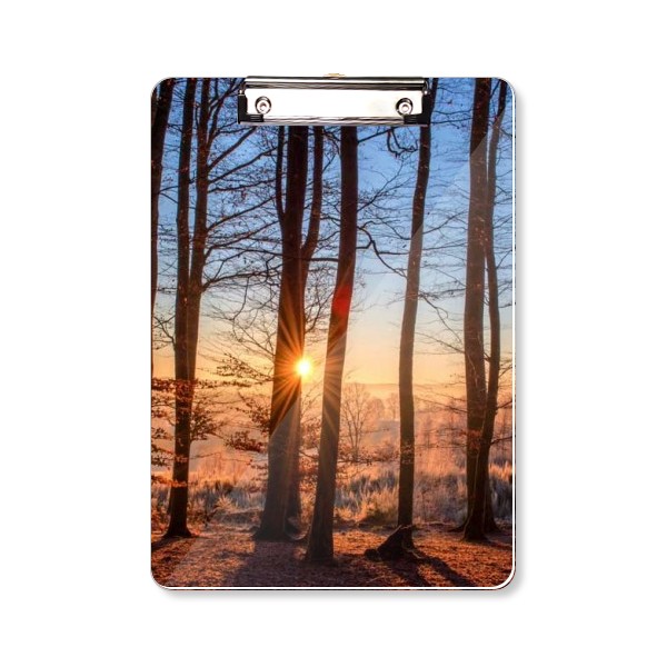 光线黑暗森林自然景色 平头文件夹书写垫板考试A4