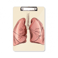 Organ Lung Human Illustration Clipboard Folder Writing Pad Backing Plate A4