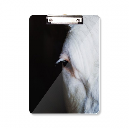 地球生物野生动物 平头文件夹书写垫板考试A4 地球生物野生动物 平头文件夹书写垫板考试A4