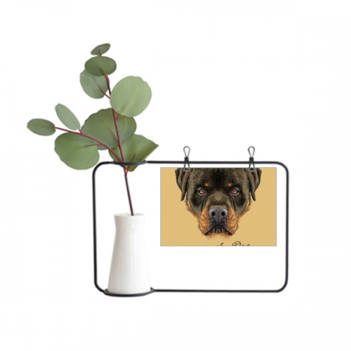 Black Ferocious Rottweiler Dog Pet Animal Metal Picture Frame Cerac Vase Decor