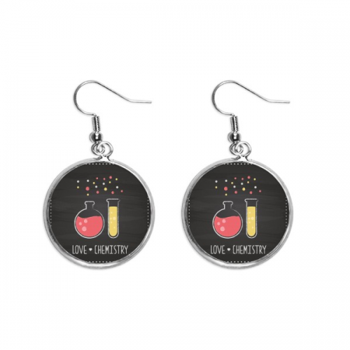 round bottom flask test tube chestry ear dangle silver drop ear jewelry woman