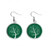 seeking lits mathematical formulas calculus ear dangle silver drop ear jewelry woman