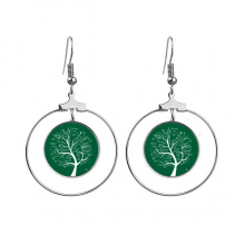 seeking lits mathematical formulas calculus ears dangle hoop jewelry drop 