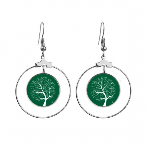 seeking lits mathematical formulas calculus ears dangle hoop jewelry drop 
