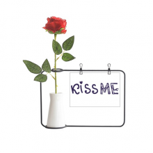可爱吻我英文手写艺术 塑料玫瑰装饰玻璃花瓶