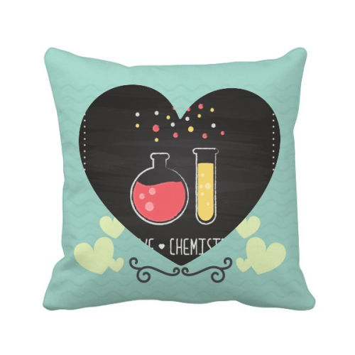 Round Bottom Flask Test Tube Chestry Love Heart Cushion Nap Sleeper Pillow