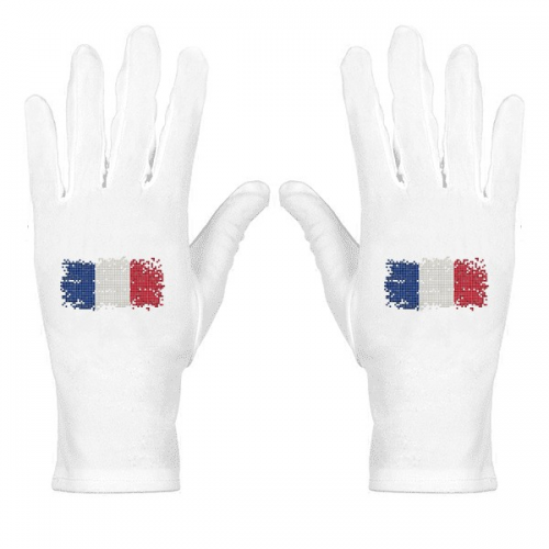 France Simple Grid National Flag White Nylon Etiquette Gloves Wrist Protective