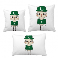 pakistan country asia flag pluu throw pillows set bolster cushion cover home decorations
