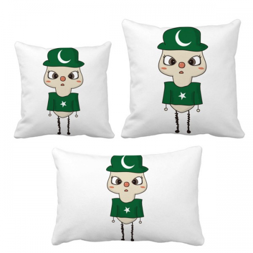 pakistan country asia flag pluu throw pillows set bolster cushion cover home decorations pakistan country asia flag pluu throw pillows set bolster cushion cover home decorations