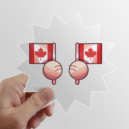 canada flag north amesun vinyl sticker luggage graffiti flower decal