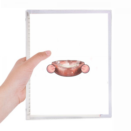 israel pita cake food notebook loose  diary refillable journal statiry