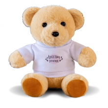 Together Forever Quote Style BearAnimal PlushHoodie Doll