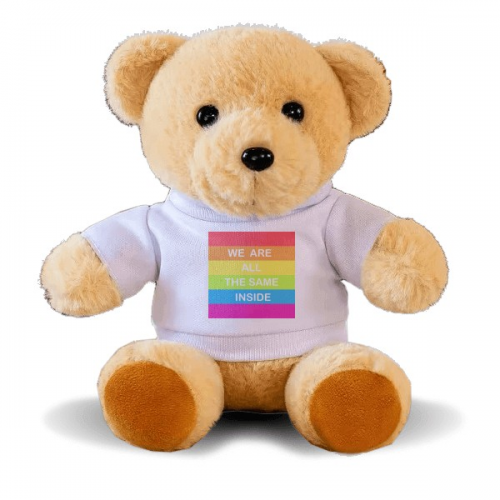 同志蕾丝边跨性双性恋图案 泰迪熊毛绒玩具吉祥物 同志蕾丝边跨性双性恋图案 泰迪熊毛绒玩具吉祥物