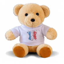 Map City France Landmark National Flag Bear Toy Animal Plush Toy Hoodie Doll Map City France Landmark National Flag Bear Toy Animal Plush Toy Hoodie Doll