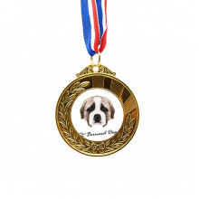 棕色可爱圣伯纳德狗 金奖得主奖牌金牌项链纪念