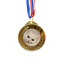 家猫白猫休息可爱 金奖得主奖牌金牌项链纪念