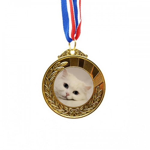 家猫白猫休息可爱 金奖得主奖牌金牌项链纪念