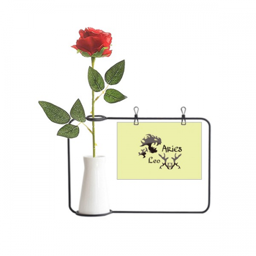 狮子白羊火象配对 塑料玫瑰装饰玻璃花瓶