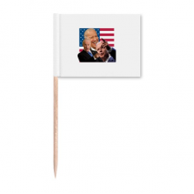 拜登美国总统嘲笑搞笑 牙签标旗木签插牌装饰