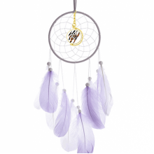 tiger eyes tear fart deco  fashion dream catcher wall hanging feather decor