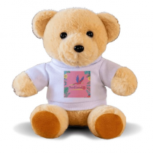 Tropical Brazilian Carnival Parrot Bear Toy Animal Plush Toy Hoodie Doll