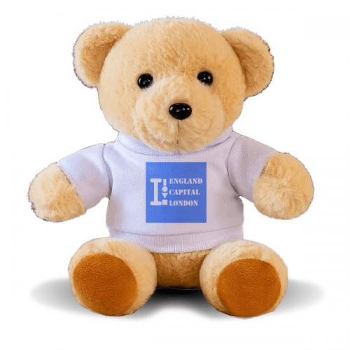 Britain Capital London Art Deco  Fashion Bear Toy Animal Plush Toy Hoodie Doll