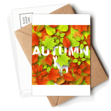 Deciduous Maple  Autumn Donkey Postcards Envelopes Blank Note Cards Mailing