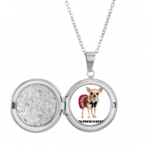 吉娃娃身材迷你眼睛 存照片项链可打开吊坠首饰