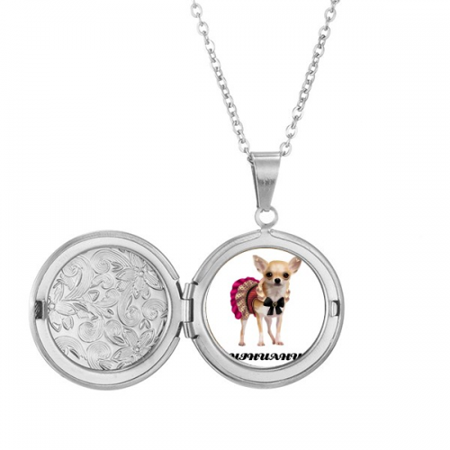 吉娃娃身材迷你眼睛 存照片项链可打开吊坠首饰 吉娃娃身材迷你眼睛 存照片项链可打开吊坠首饰