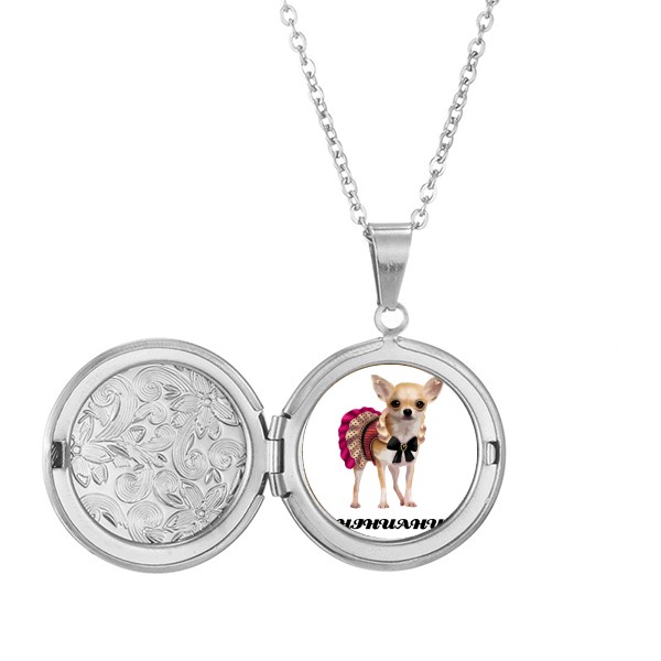 吉娃娃身材迷你眼睛 存照片项链可打开吊坠首饰